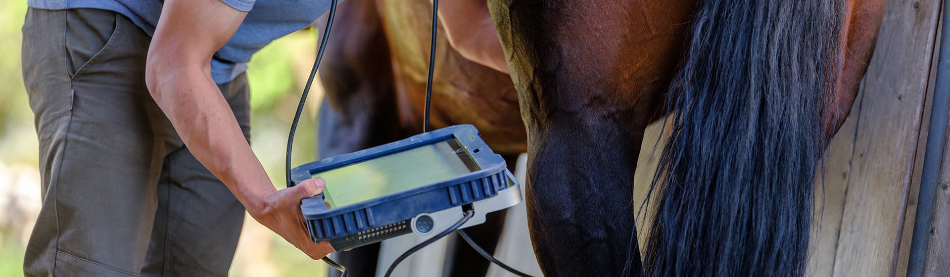 Default category header image