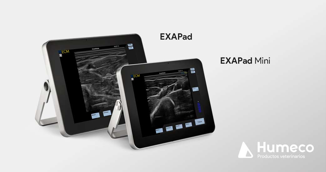 ecografo portatil exapad