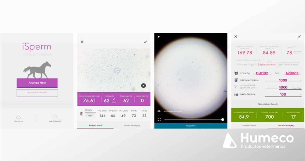 resultados isperm