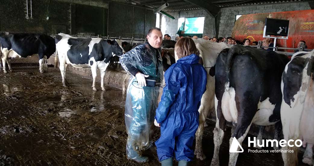 curso ecografia reproductiva y visceral vacuno de leche