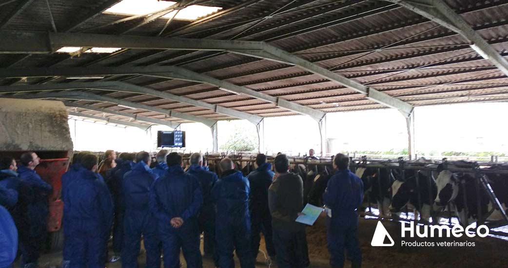 curso para veterinarios organizado por humeco en asturias