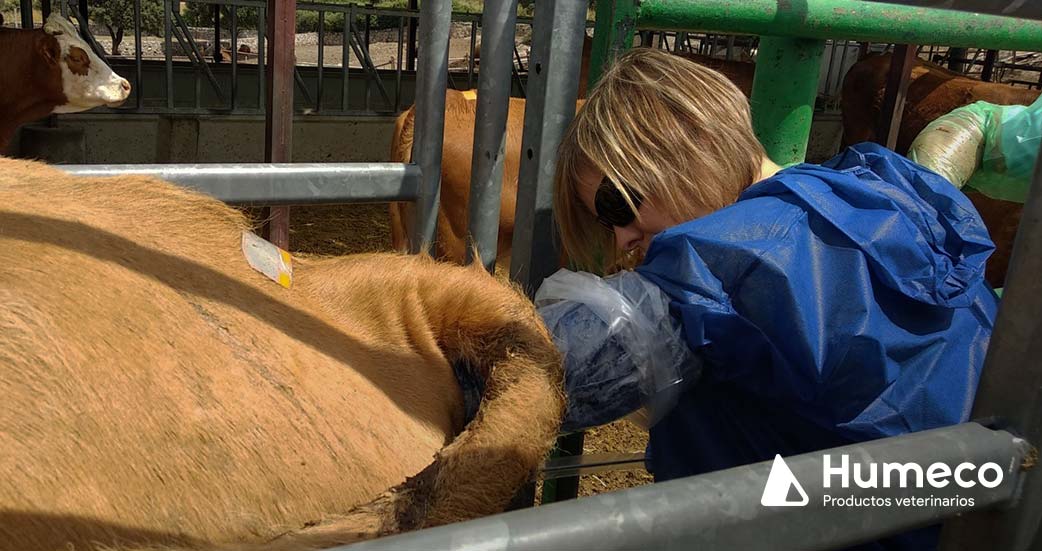 curso veterinaria especializada madrid