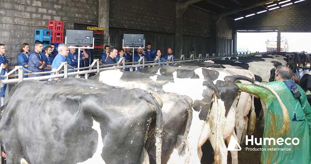 curso organizado por humeco en cantabria 