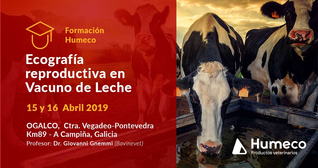 nuevo curso ecografia reproductiva en vacuno de leche