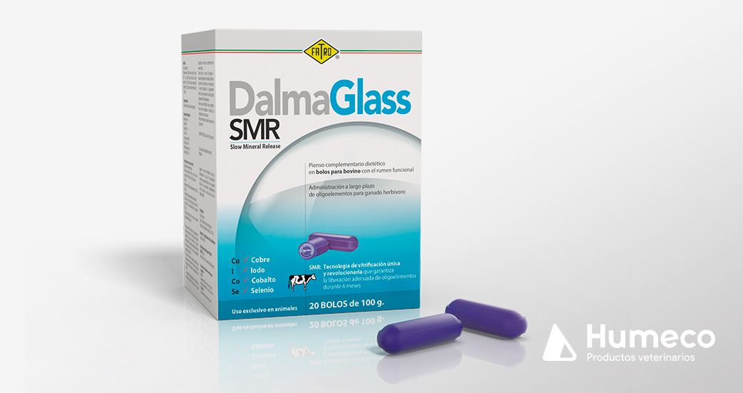 DalmaGlass SMR vitro intraruminal