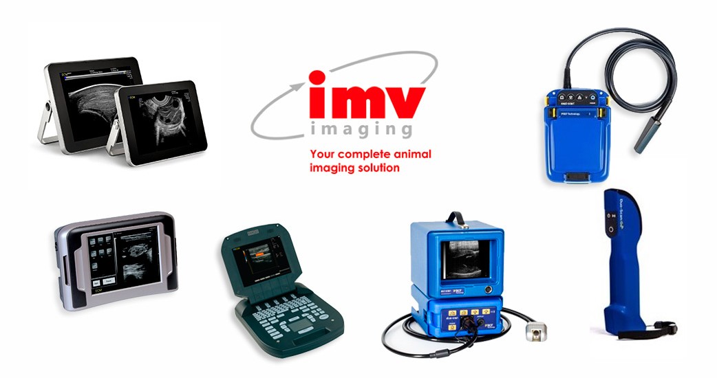 diagnostico por imagen de imv imaging