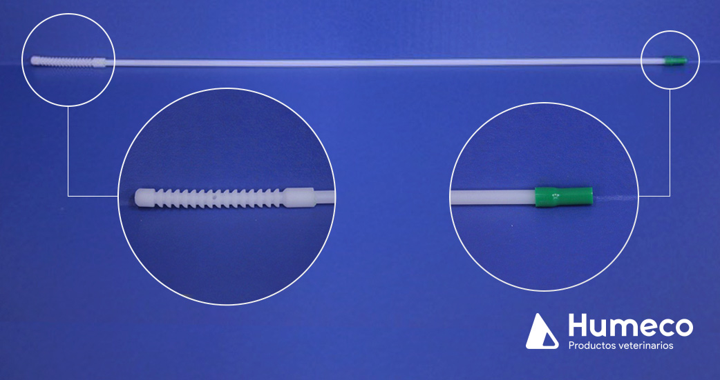 dispositivo para la toma de muestras de Trichimonas