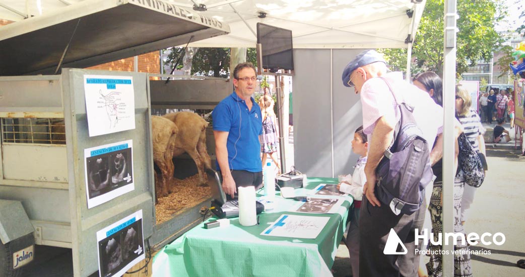 feria abere en alava