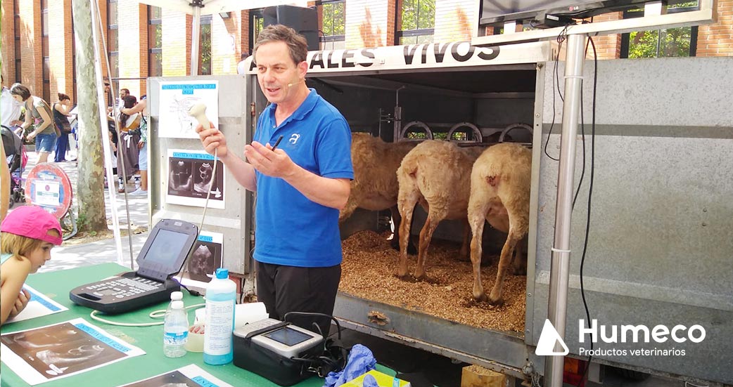 participacion de humeco en la feria de alava