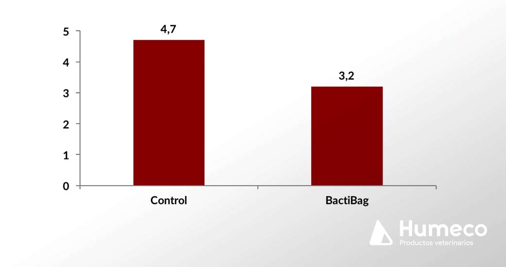 estudios de bactibag