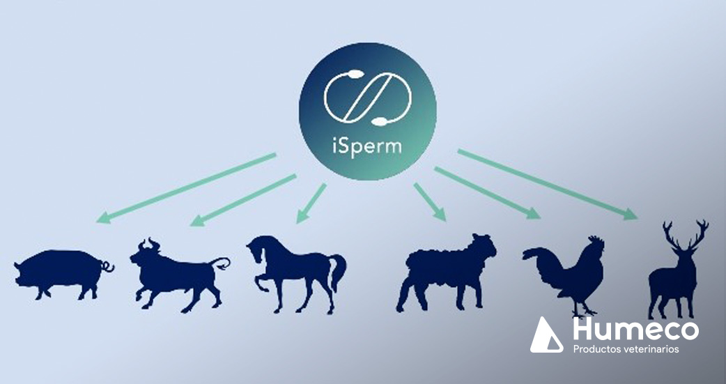 isperm analisis semen veterinario