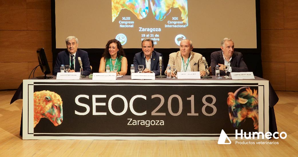 Congreso seoc 2018 zaragoza