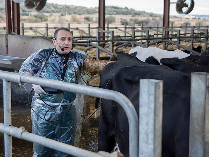 Humeco Jornada Internacional Científico-Técnica de Reproducción Bovina