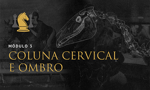 Módulo 3: Columna cervical y articulación escapulo humeral