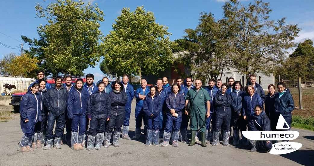 ¿Cómo fue el curso de Ecografía Reproductiva y Visceral en Vacuno de leche en en el Colegio de Veterinarios de Lugo?