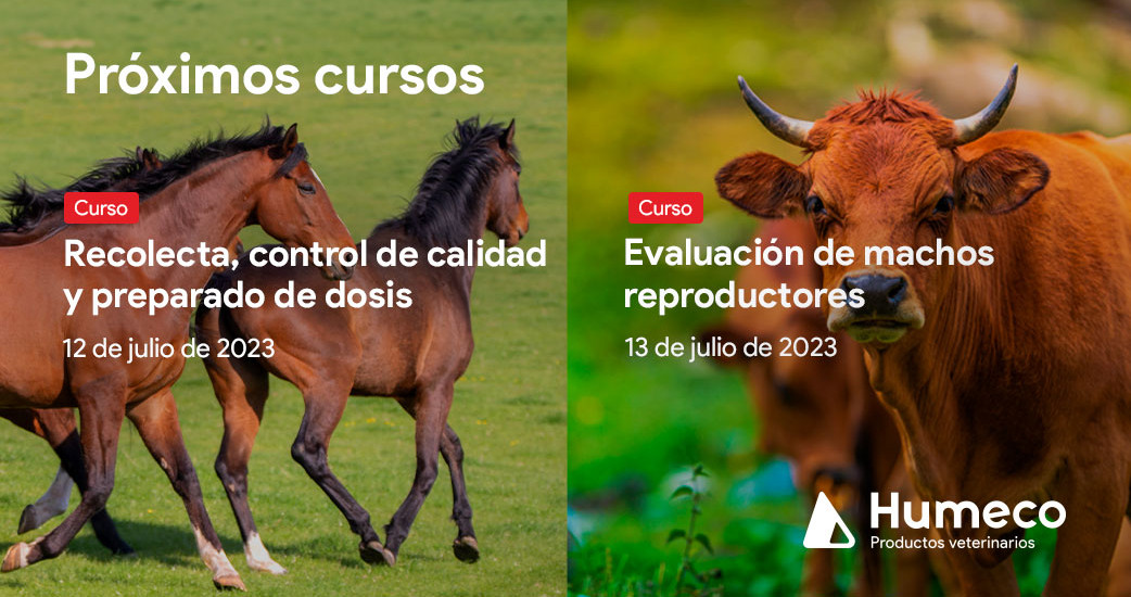 No te pierdas los dos próximos cursos de reproducción animal que hemos organizado