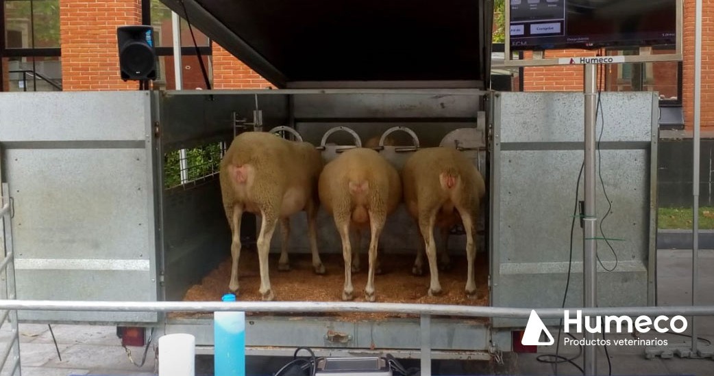 Participación de Humeco con ABERE en la feria agrícola y ganadera, en Vitoria-Gasteiz