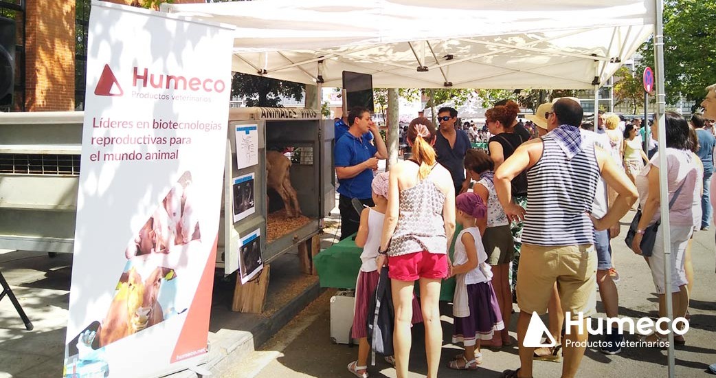 Participamos con Abere en la feria agrícola y ganadera, en Vitoria-Gasteiz