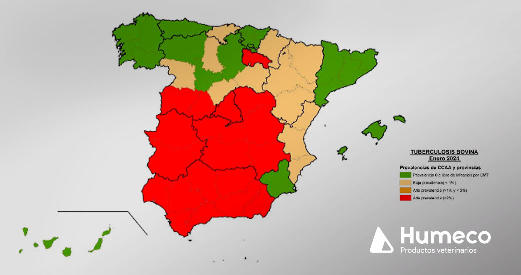 Descubre el Programa Nacional de Erradicación de Tuberculosis Bovina 2024