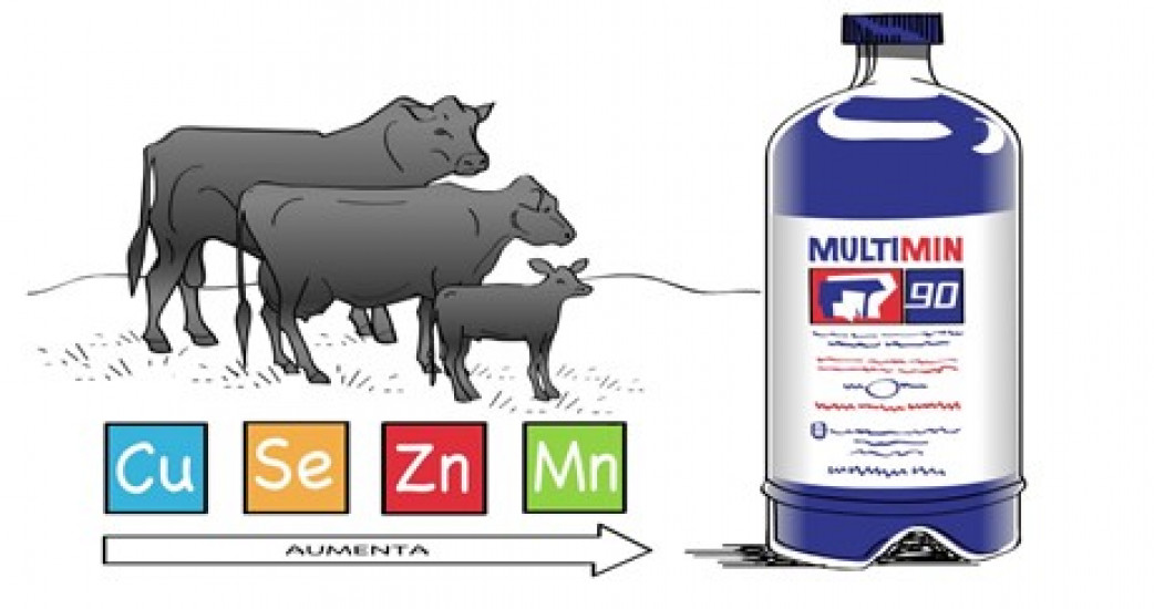 Suplementación de oligoelementos en la vacunación