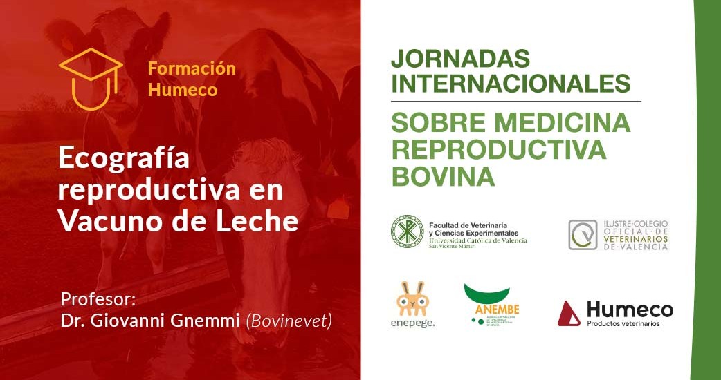 Próximo curso de ecografía reproductiva y participación de Humeco en las Jornadas Internacionales sobre Medicina Reproductiva Bovina en Valencia