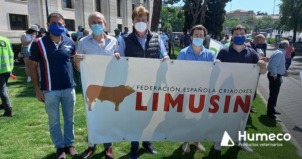 Convivencia Lobo: Plataforma en defensa de la Gestión del Lobo