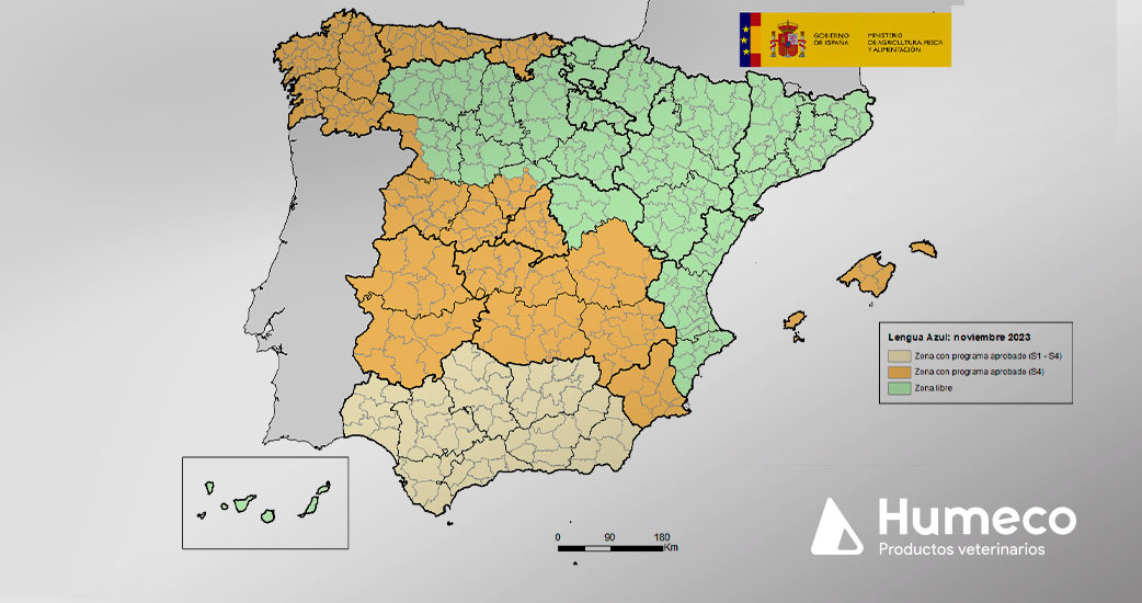 Publicado el Programa Nacional de control de la Lengua Azul en España 2024