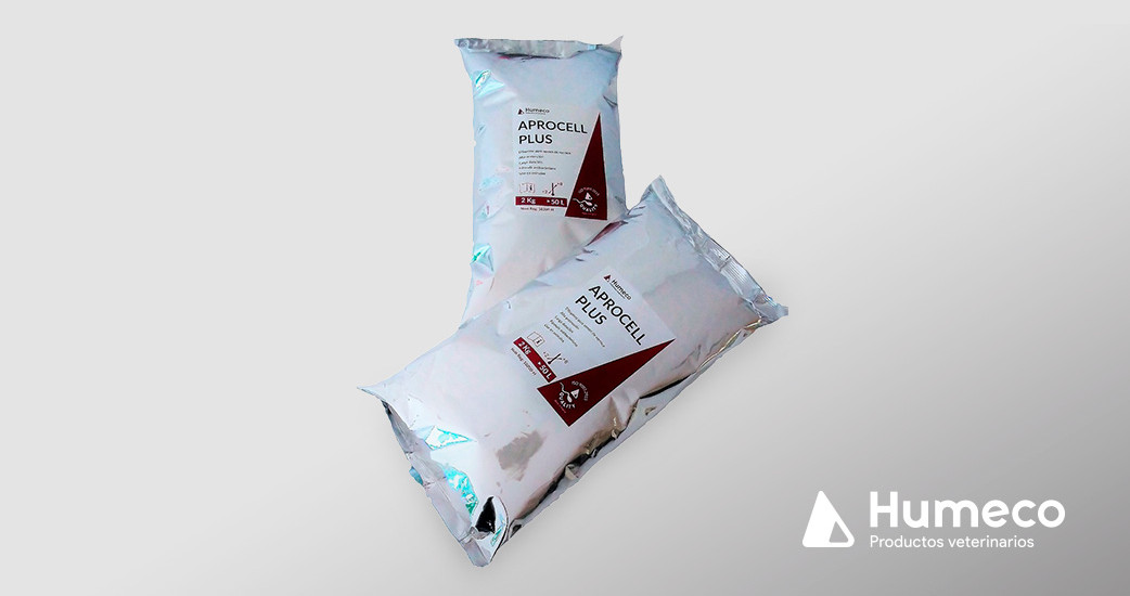 Aprocell Plus, un diluyente para porcino que protege los espermatozoides en condiciones de estrés y de shock térmico