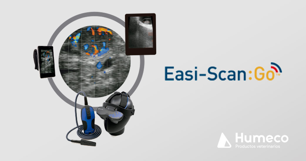 Doppler en el ecógrafo Easi-Scan: Go