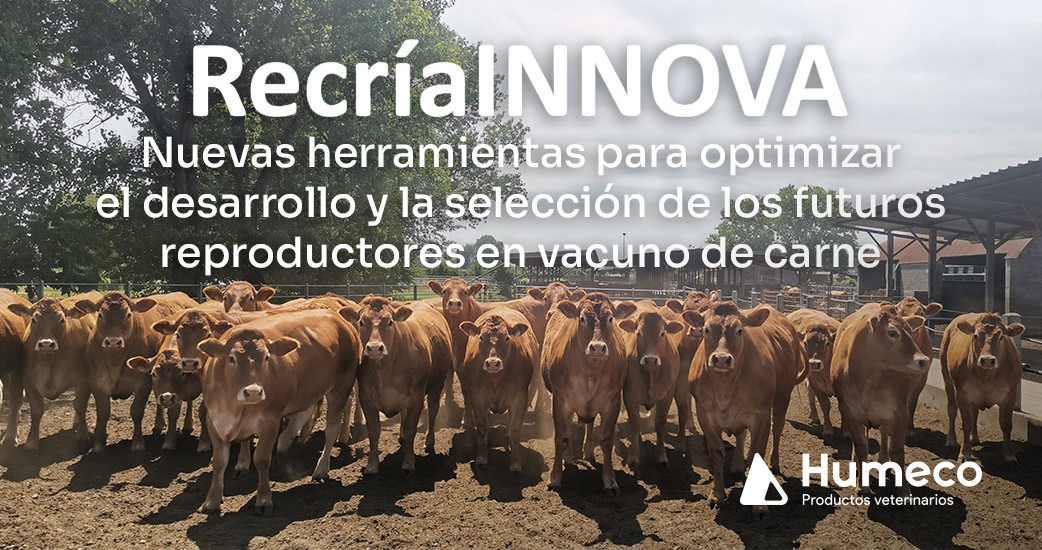 Conoce un poco más el proyecto RecríaINNOVA