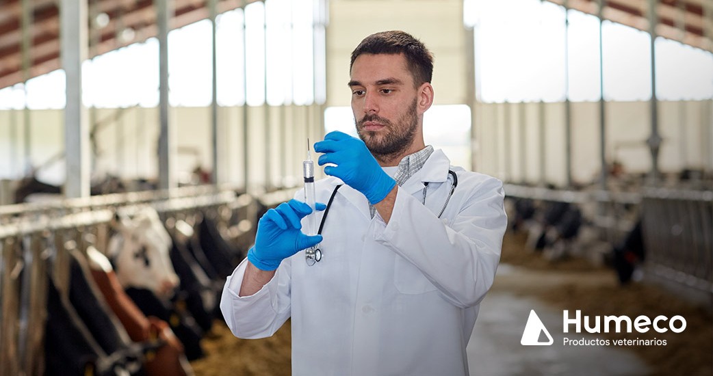 Seleccione el tipo de jeringa y aguja adecuado para el éxito del tratamiento clínico veterinario