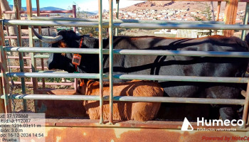 Humeco trabaja junto a otras entidades en BIAnexia, primer grupo operativo europeo en mejorar el bienestar animal
