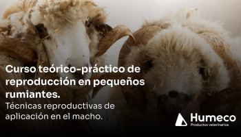 Humeco organiza junto a la Diputación de Córdoba un curso de reproducción en pequeños rumiantes