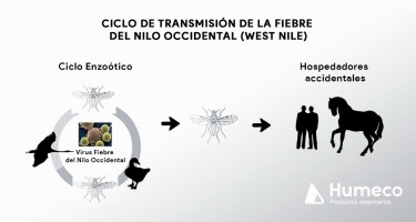 Vigilancia de la Fiebre del Nilo Occidental (West Nile Fever)