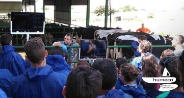 ¿Cómo fue el curso de Ecografía Reproductiva y Visceral en Vacuno en leche?