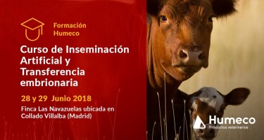 Curso de Inseminación Artificial y Transferencia Embrionaria