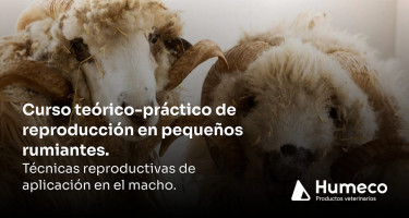 Humeco organiza junto a la Diputación de Córdoba un curso de reproducción en pequeños rumiantes