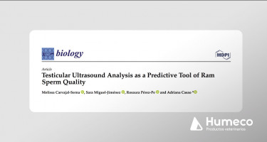 Nuevo estudio con Ecotext, una herramienta predictiva de la calidad del esperma en moruecos
