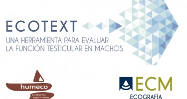 Sistema Ecotex