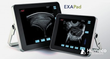 Nueva actualización de software del ecógrafo EXAPAD