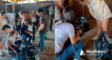 Humeco se vuelca con la formación sobre el aparato locomotor equino