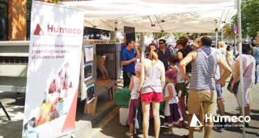 Participamos con Abere en la feria agrícola y ganadera, en Vitoria-Gasteiz