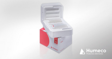 ECOOL Box, la caja de transporte para semen fresco equino 