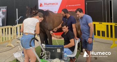 Otro éxito en el segundo módulo de “Jaque-Mate”, realizado en Huesca