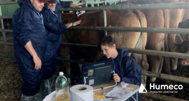 Técnicas de imagen: Uso de ultrasonidos en la evaluación de la calidad de carne en vacuno