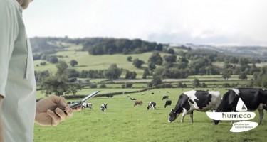 Medriá, Sistemas de Monitorización Veterinaria