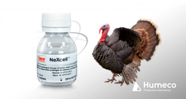 NeXcell, para una conservación prolongada del semen del pavo