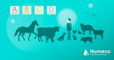 La nueva clasificación de antibióticos veterinarios