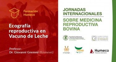 Próximo curso de ecografía reproductiva y participación de Humeco en las Jornadas Internacionales sobre Medicina Reproductiva Bovina en Valencia