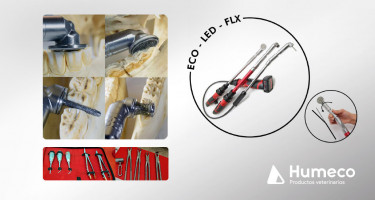 Odontología equina con Terafloat